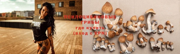 2c-b Волосово