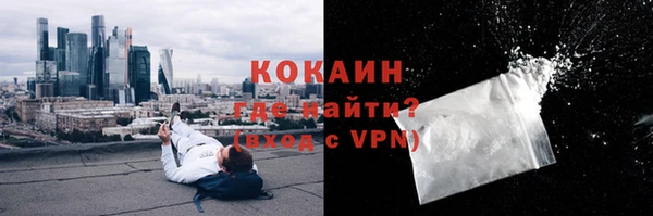 стафф Володарск