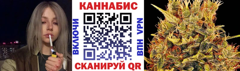продажа наркотиков  Павловская  Бошки марихуана ГИДРОПОН 